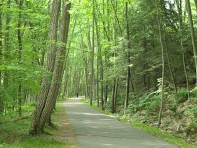 https://mwvrecpath.web01.drivedev.net/uploads/images/Home_Columns_400x300/Path with trees 400.jpg